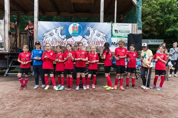 Bild 312 - Loewinnen Cup